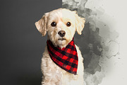 Artistic Watercolor Photoshop Effect, a Layer Style Add-On by liptouse (Thumbnail 8 of 9)