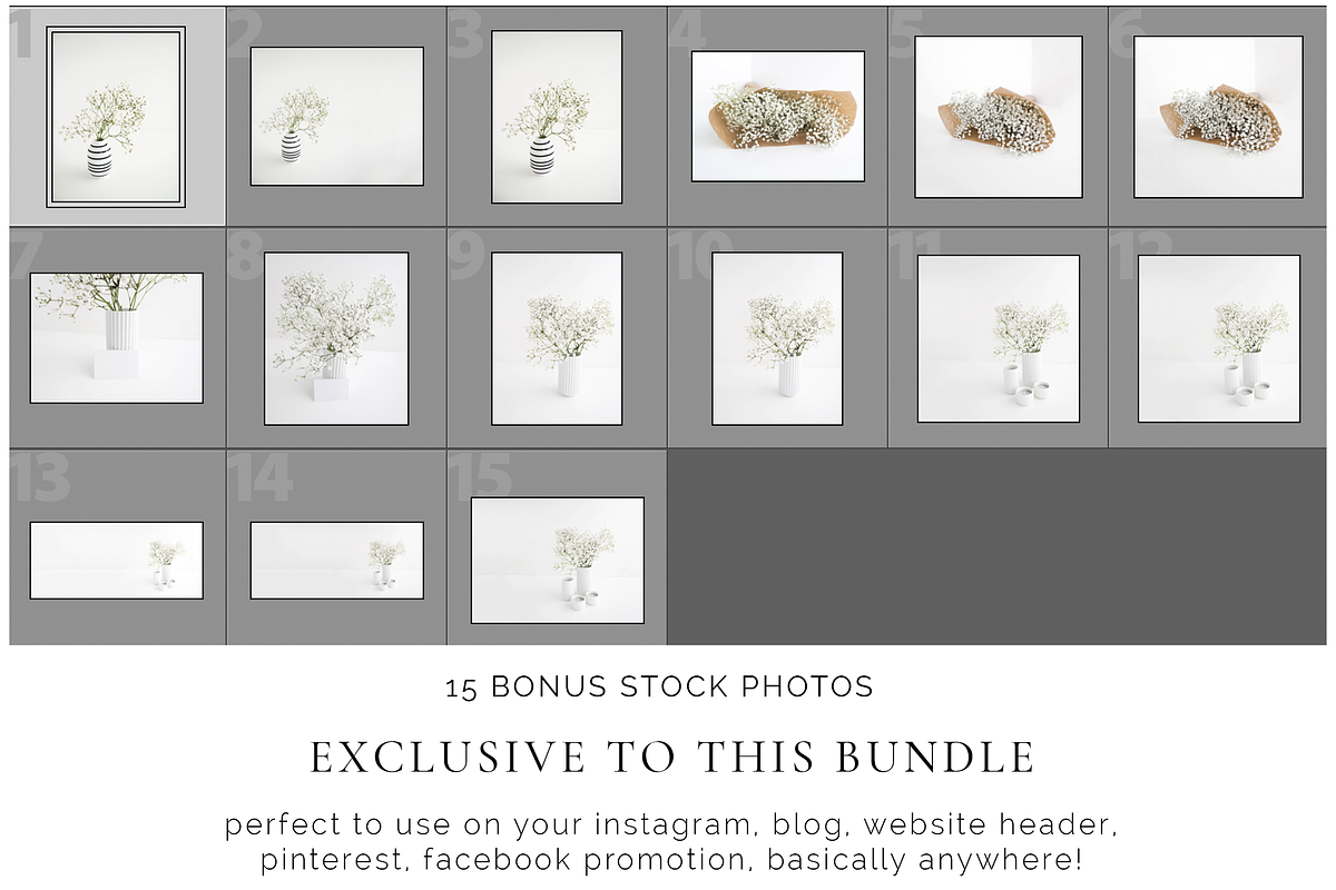 Baby's Breath Of Spring Bundle, a Print Template by Imperium Nordique (Photo 5 of 5)