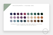 Succulent Procreate Stamps + PNG, a Brush Add-On by SorrDesign (Thumbnail 3 of 5)