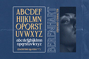 Berenhart - Elegant Modern Classy, a Serif Font by Qweera Studio (Thumbnail 9 of 12)