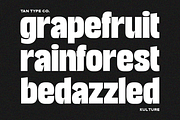 TAN - KULTURE, a Font by TanType (Thumbnail 9 of 18)
