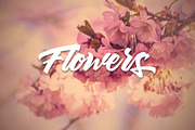 Thirthy, a Script Font by SusiType (Thumbnail 9 of 11)
