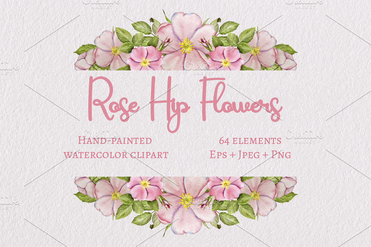 Rose Hip Flowers Clipart, a Decorative Illustration by Milla_Zelenyuk_art (Photo 1 of 7)