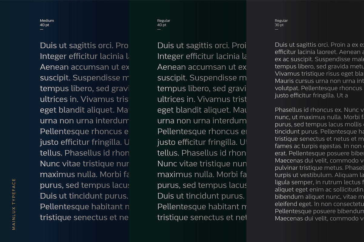 Mainlux Font, a Sans Serif Font by Digitype Studio (Photo 7 of 10)