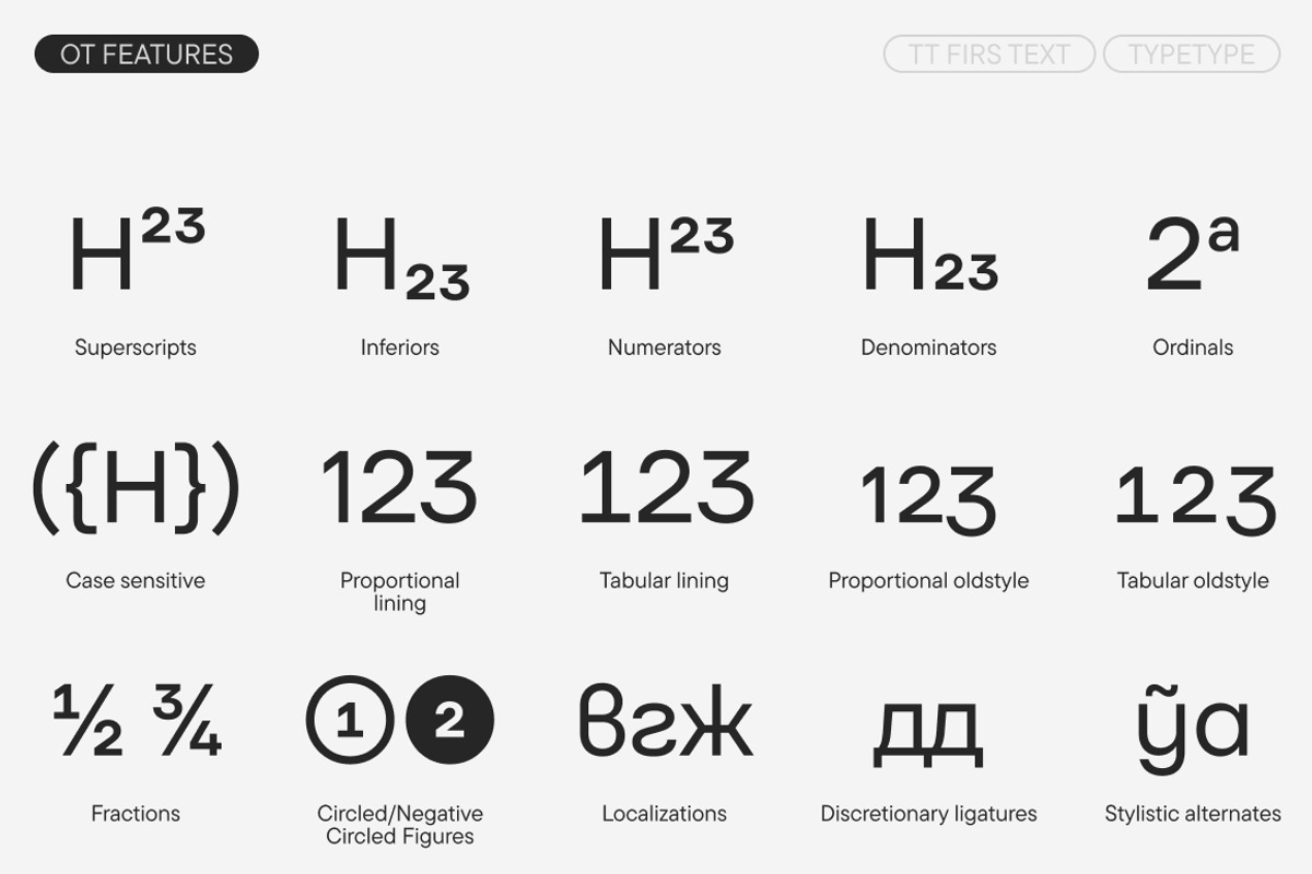 TT Firs Text, a Sans Serif Font by TypeType (Photo 12 of 15)