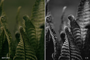 15 Leica Lightroom Presets, a Preset Add-On by Lavinsky Art Store (Thumbnail 11 of 16)