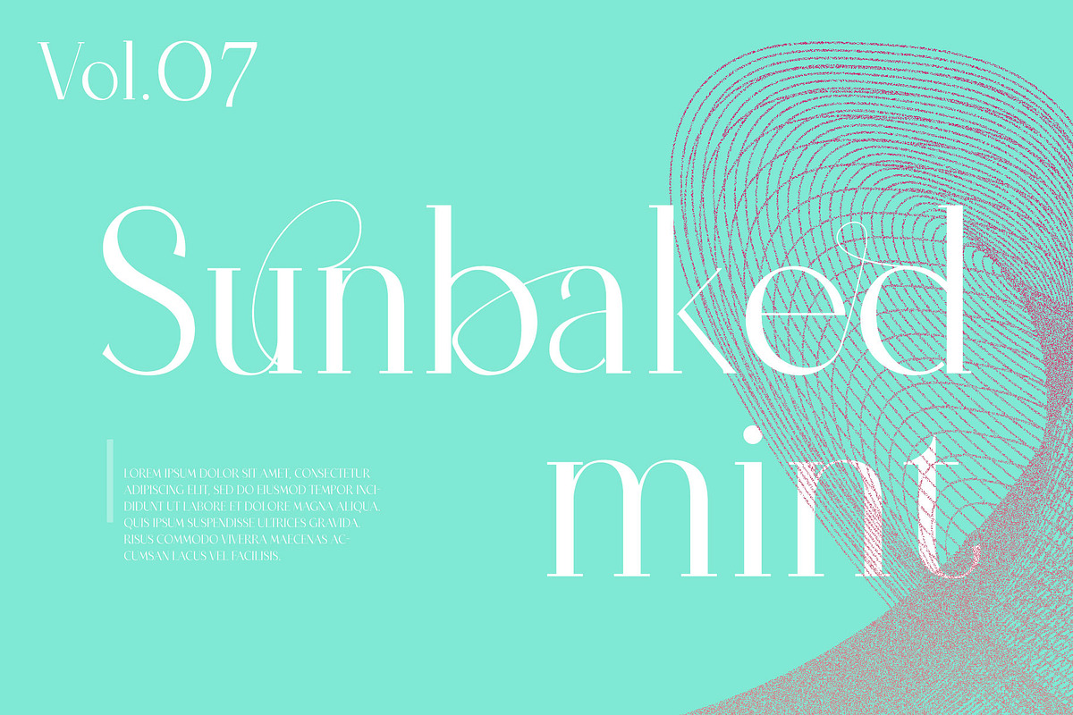 Tilaa Serif -Ligature Typeface, a Serif Font by Ryul Davidson (Photo 5 of 13)