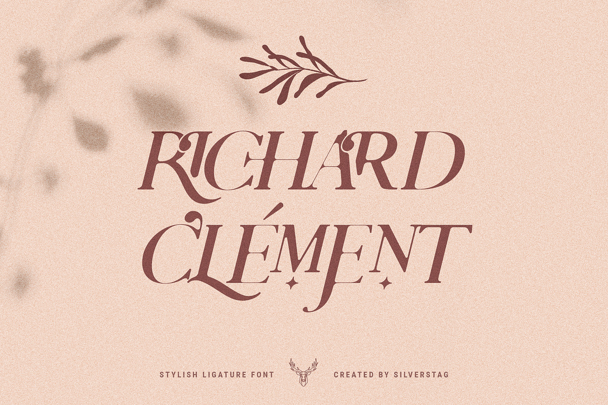 Charles - Ligature Serif Font Family, a Serif Font by SilverStag Type Foundry (Photo 14 of 32)