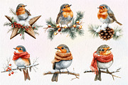 Christmas Robin Bird Clipart, an Illustration by Dream Creation (Thumbnail 5 of 6)
