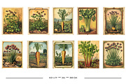 Vintage Garden Packets, a Seasonal Illustration by karenfoleyphoto (Thumbnail 3 of 15)