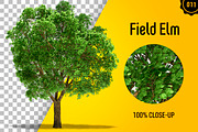 CUT OUT TREES - 60 PCS BUNDLE, a Packaging Mockup by 3DSTORE (Thumbnail 12 of 63)