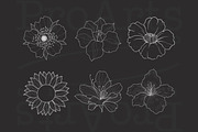 Ornament + Flowers, Pattern + Flower, a Brush Add-On by Lucrumplus (Thumbnail 3 of 10)