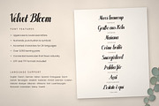 Velvet Bloom – Brush Script Font, a Script Font by vladocar (Thumbnail 3 of 10)