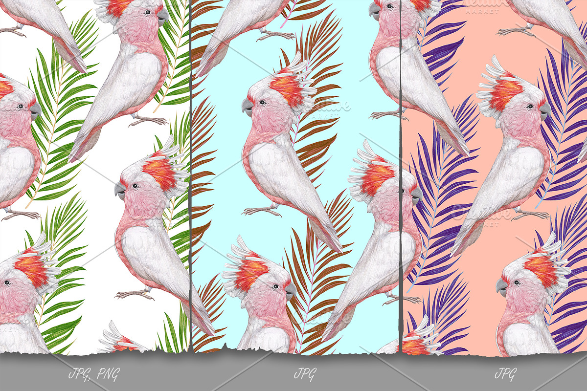 Cockatoo // Pattern Design, a Pattern Graphic by Victoria_Novak ...