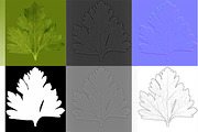 Celery, an Environmental 3D Model by AndrewWhite (Thumbnail 8 of 9)