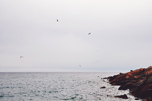 Sea containing sea, beach, and nature