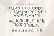 Valorine - Minimal Modern Stylish, a Serif Font by Shakira Studio (Thumbnail 10 of 10)