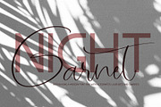 Garnet Night Font Duo, a Script Font by CallMeStasia (Thumbnail 1 of 18)