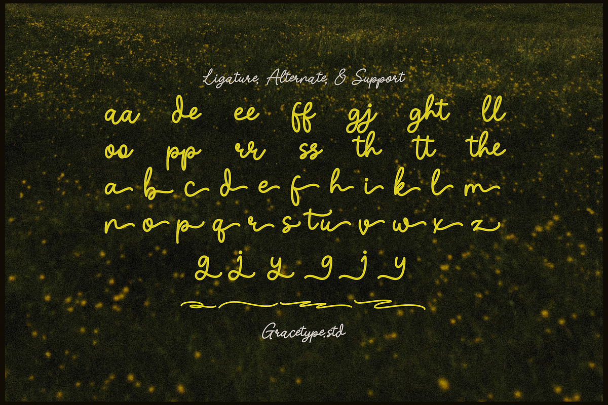 Nicolla Sunfield | Monoline Script, a Script Font by gracetype_studio (Photo 12 of 12)