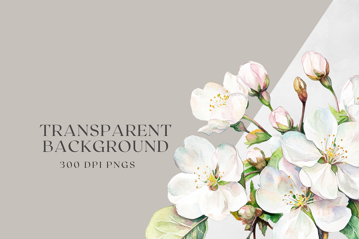 Sakura Bloom - Cherry Blossom, a Decorative Illustration by ThaismotaCreativeCo (Photo 9 of 9)