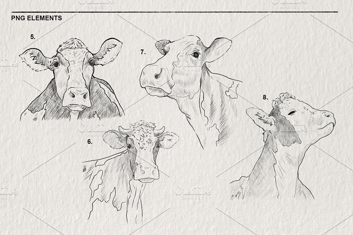Sketch of a cow PNG, an Animal Illustration by LOKSKIH (Photo 4 of 7)