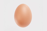 Egg model, an Object 3D Model by fahad121 (Thumbnail 3 of 6)