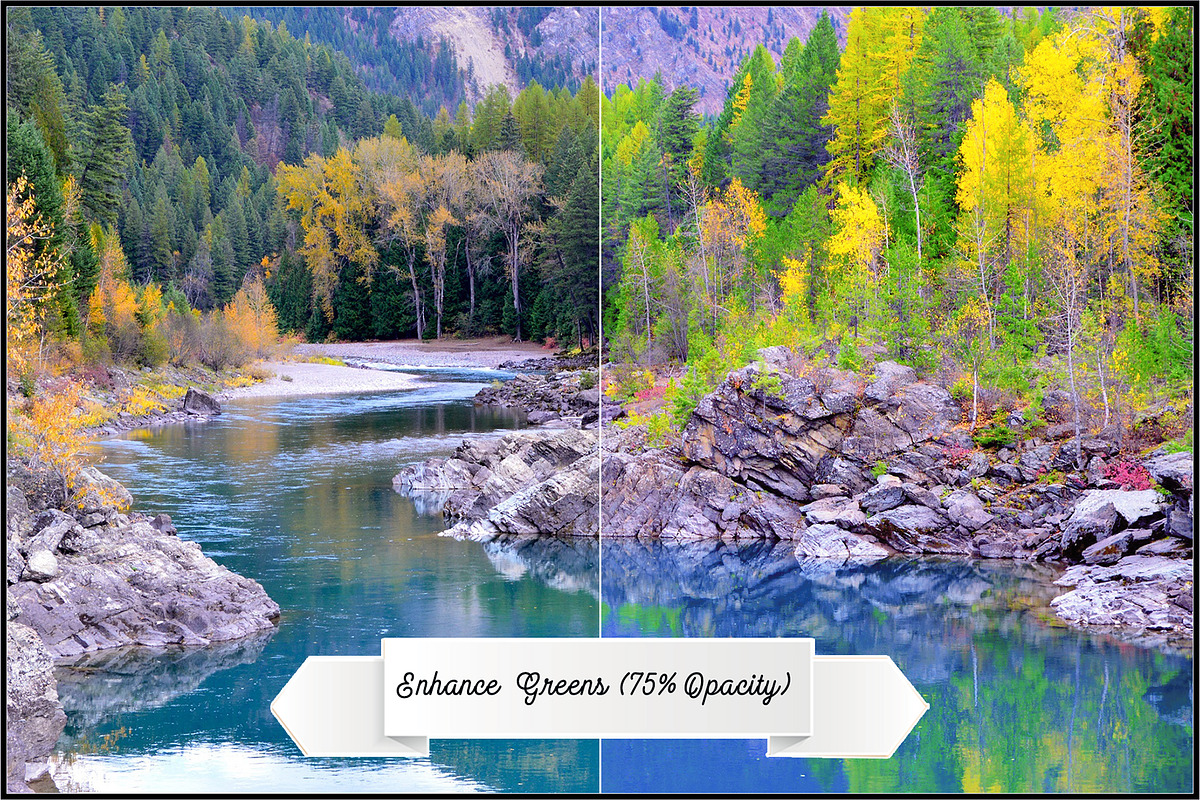 Wide Dynamic Range - Foliage preview 7