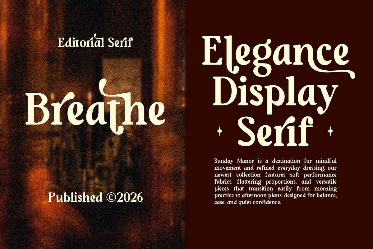 Sunday Monare, a Serif Font by Megatype (Photo 5 of 12)