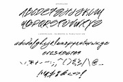 Mr. Roosevelt Handwritten, a Script Font by Marcelo Inez (Thumbnail 6 of 6)
