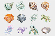 Watercolor Seashell Clipart, a Seasonal Illustration by Design Market (Thumbnail 5 of 5)