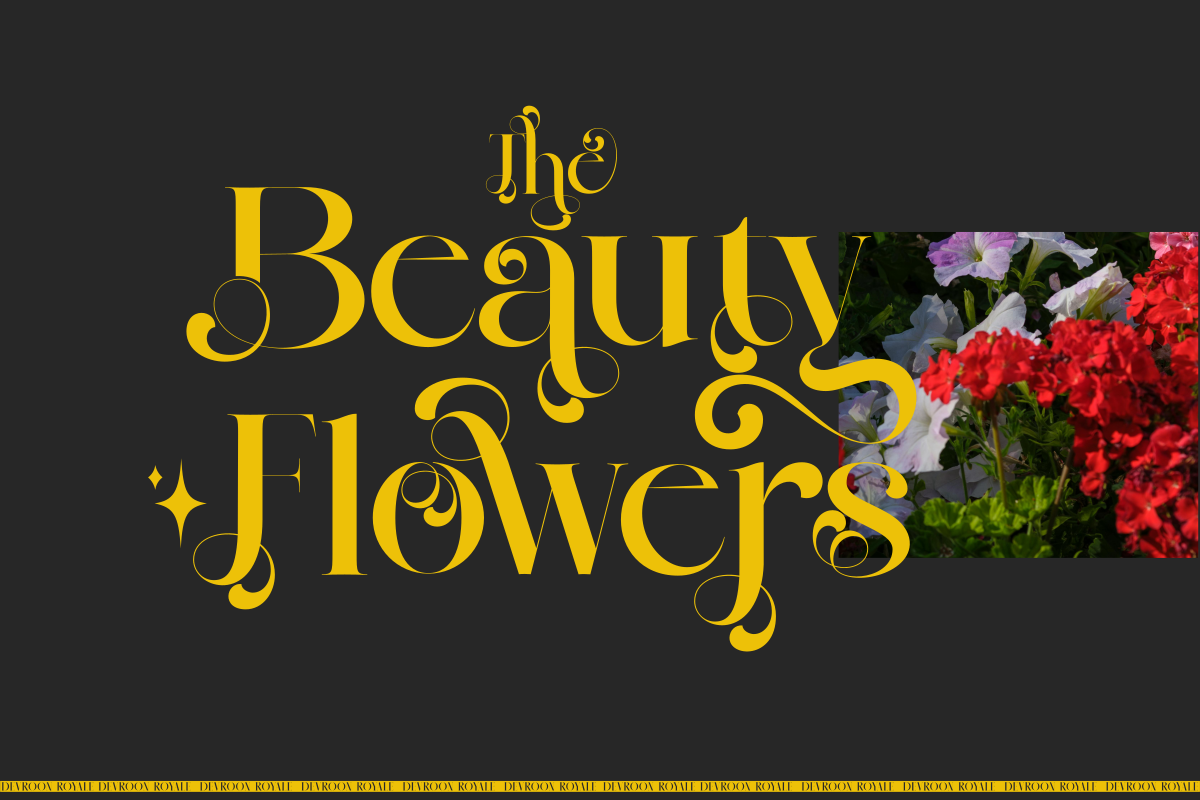 Devroon Royale, a Serif Font by zaaintype (Photo 6 of 11)