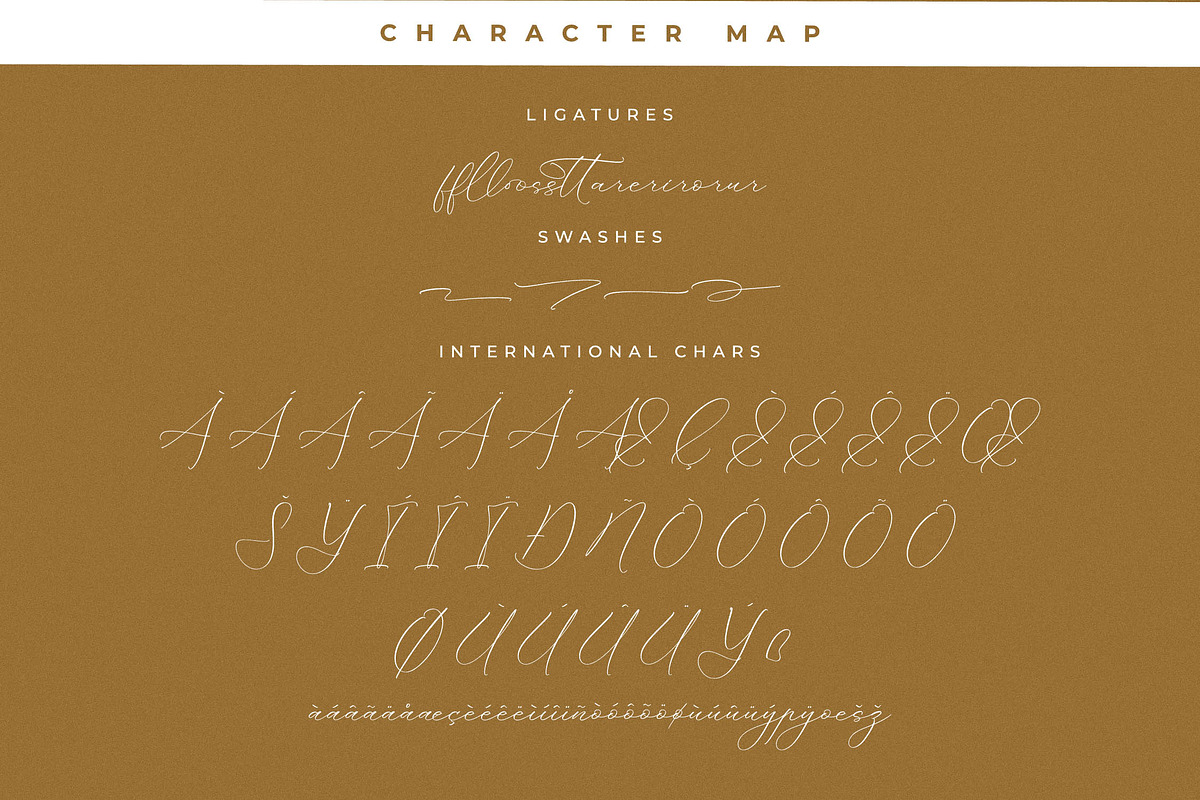 Portterda Modern Calligraphy Font, a Script Font by Storytype Studio (Photo 14 of 15)
