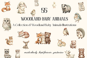 Woodland Baby Animals Illustrations