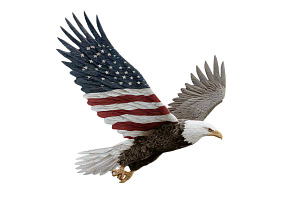Eagle Clipart 4th of July, a Graphic by VetalStock