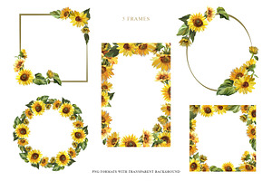 Sunflowers Clipart Collection