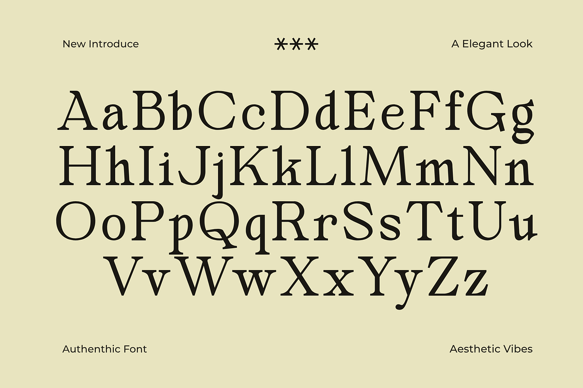 Secth Vought–Luxury Editorial Serif, a Serif Font by MaikoHatta (Photo 6 of 10)