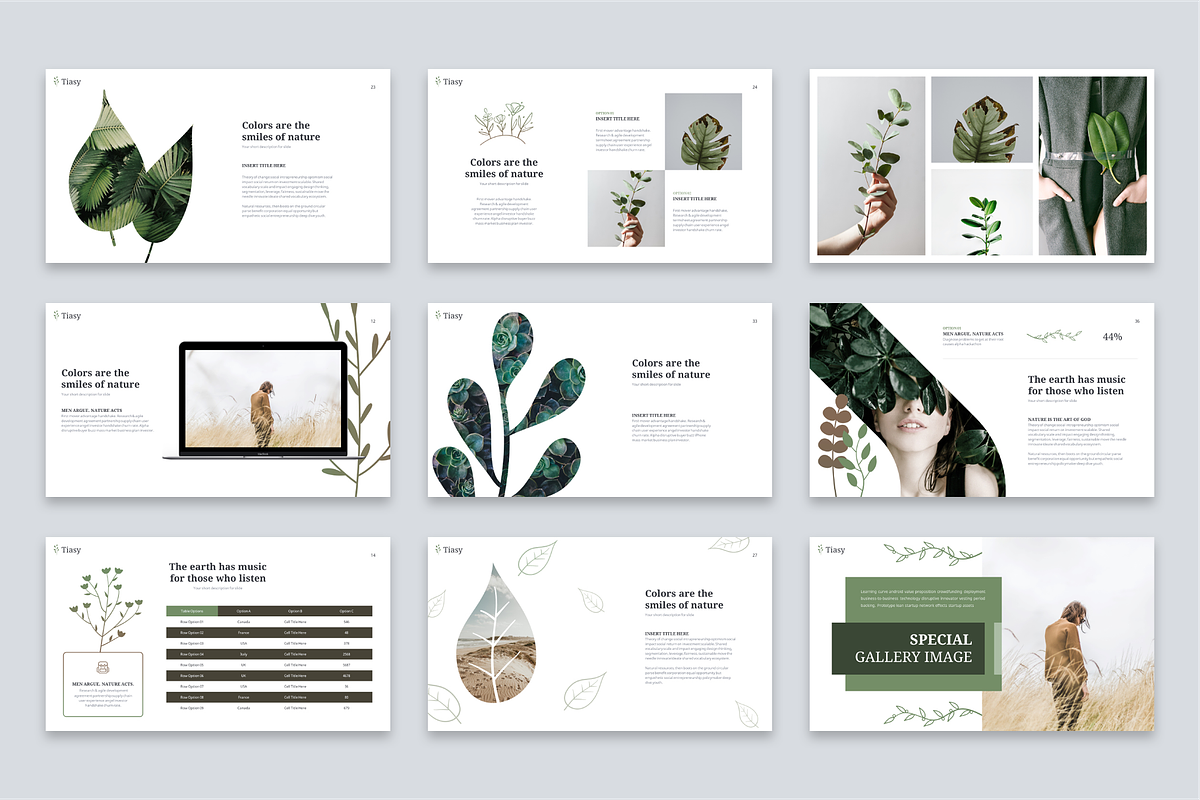 Tiasy Powerpoint Template, a Presentation Template by Reshapely (Photo 5 of 7)