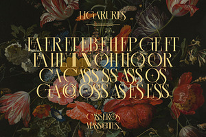 CASSEROS MASSCOTTES Elegant Serif