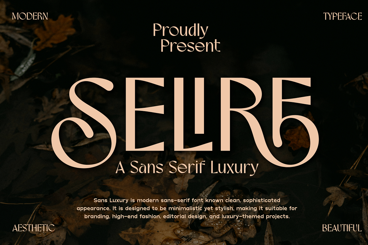 Selire - Sans Serif Luxury Font, a Sans Serif Font by MaikoHatta (Photo 1 of 7)