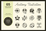 Anatomy Drawing Illustration, an Outline Icon by Vectors Market (Thumbnail 1 of 8)