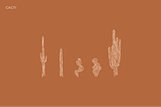 Desert Doodles | Illustrations, an Illustration by Brooke Taylor Creative Co (Thumbnail 3 of 6)