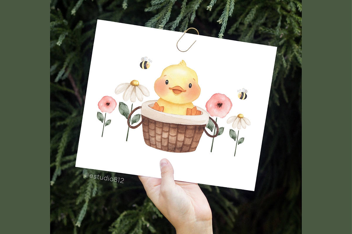 Baby Ducks watercolor set, an Animal Illustration by Estudio 812 (Photo 5 of 8)