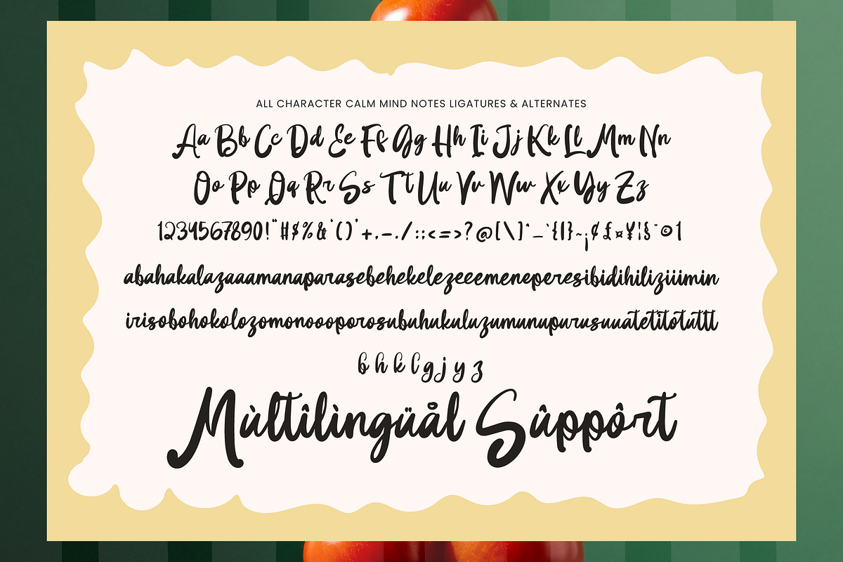 Kindly Reply Whimsical Handwritten, a Handwritten Font by AmorfaType (Photo 8 of 8)
