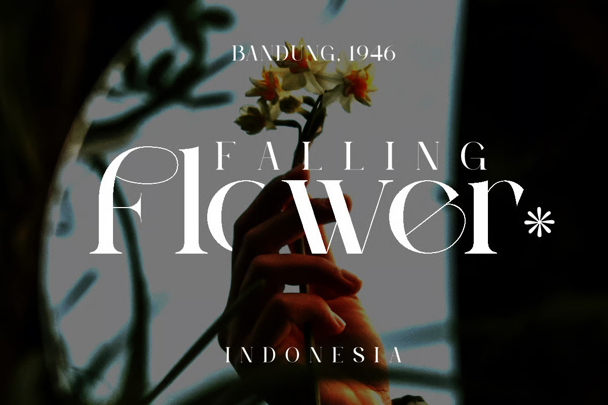 Peagen - Elegant Stylish Serif, a Serif Font by Brand Earth (Photo 7 of 12)