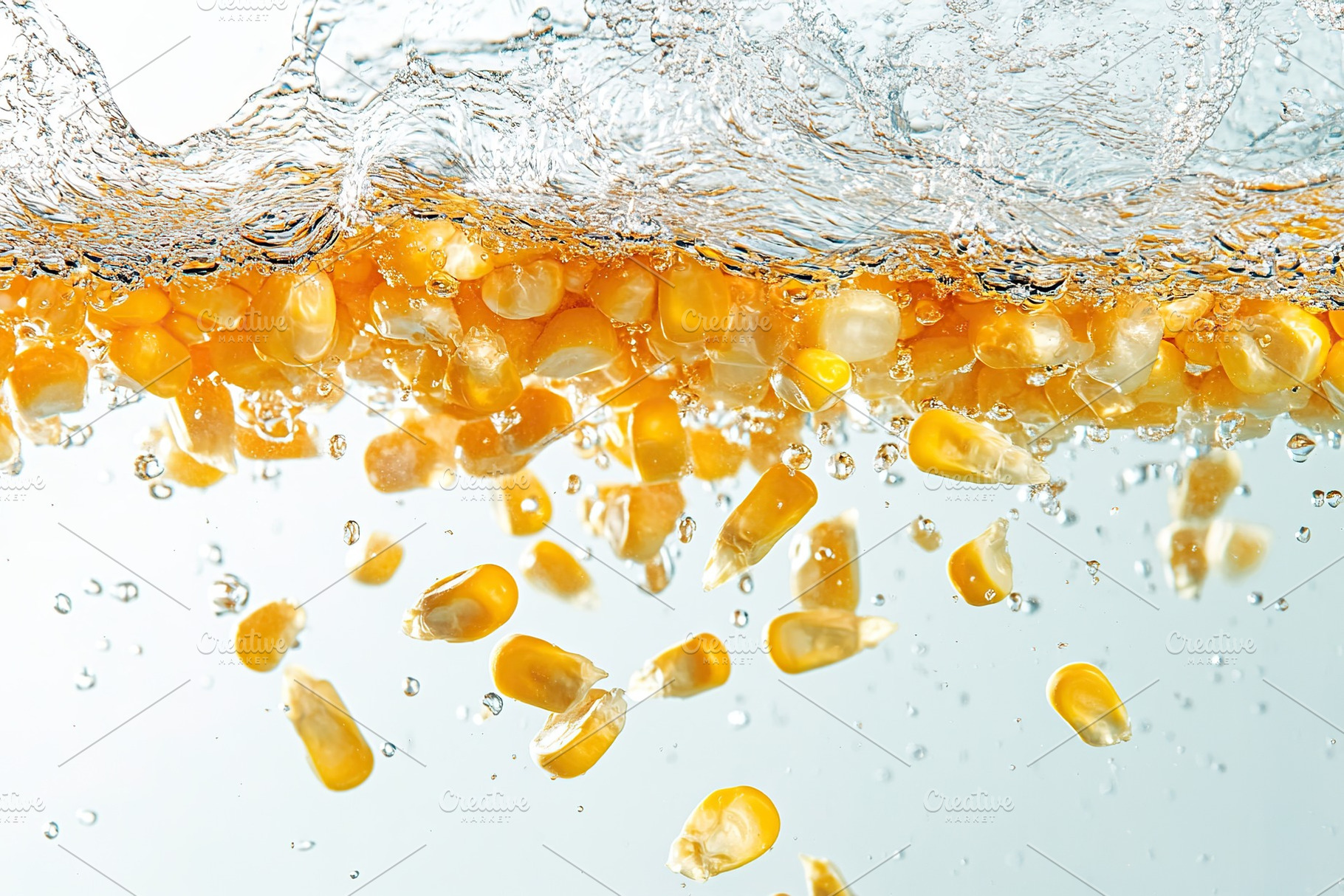 Fresh corn falling into water on white background, a Photo by AlyaAnd
