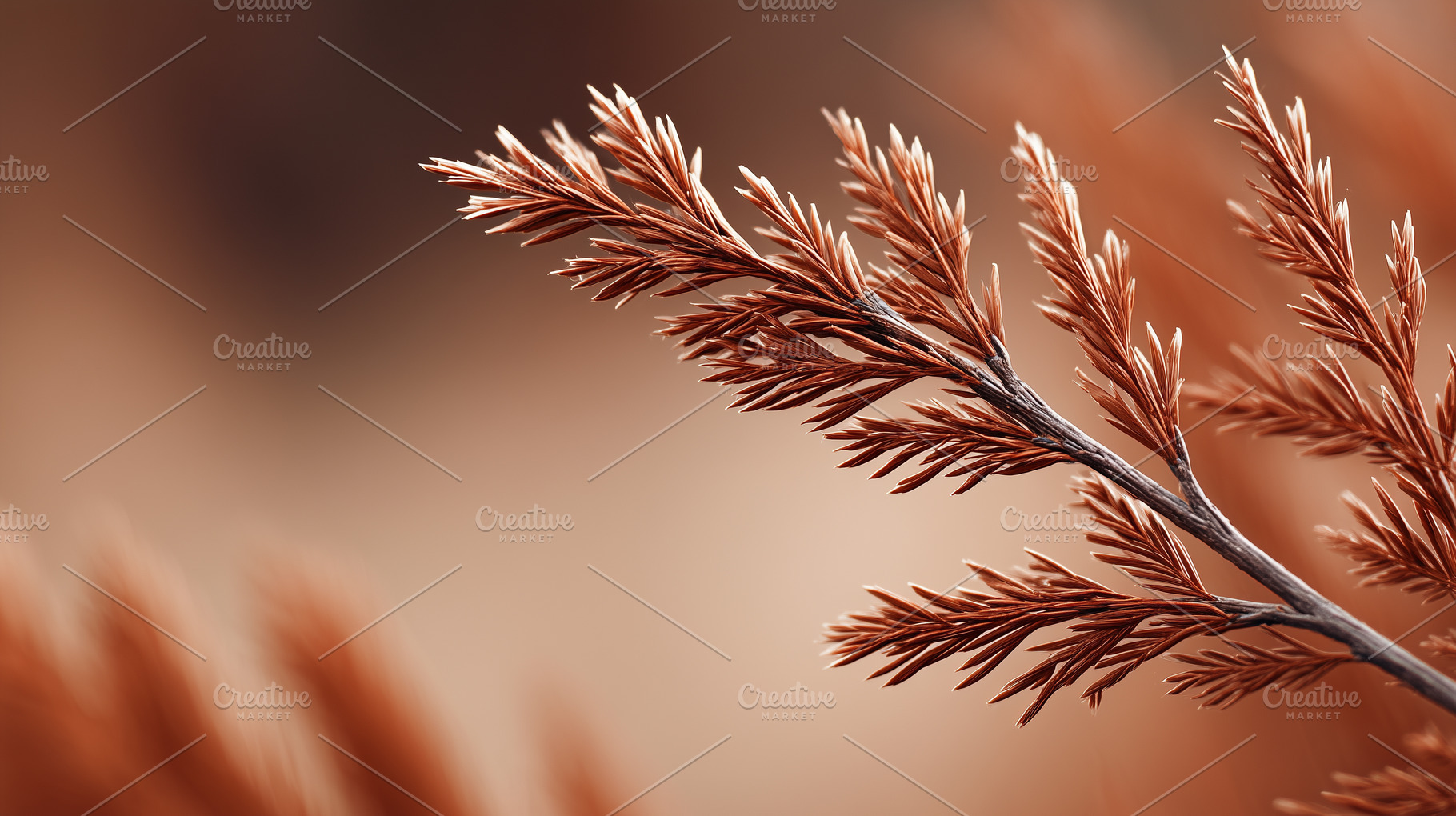 Dried brown branch with detailed, a Nature Photo by MistyDay