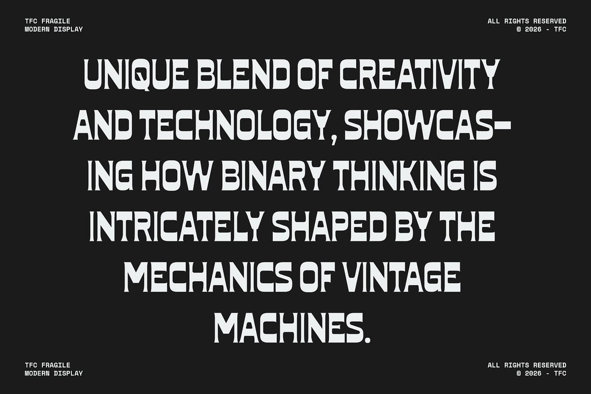 TFC Fragile Font, a Sans Serif Font by Type Flock (Photo 10 of 17)