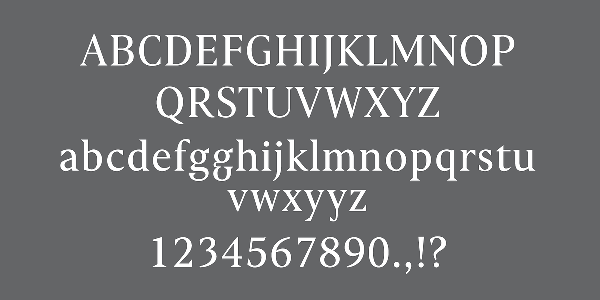 Haggard Nova, a Serif Font by TipografiaRamis (Photo 3 of 9)