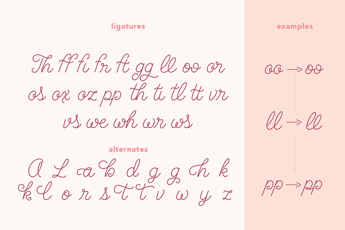 Brookley - Monoline Script Font, a Script Font by Danielle Eneh (Photo 6 of 12)