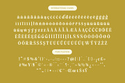 Angel & Bunda Groovy Serif Font, a Serif Font by timelesstype.co (Thumbnail 18 of 20)